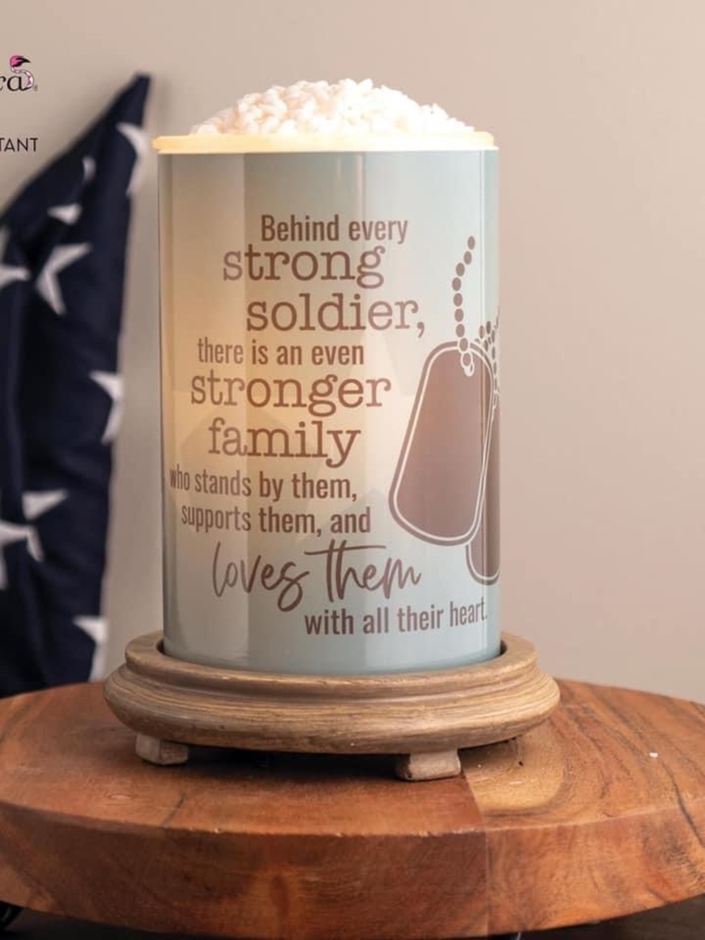 Soldier Appreciation Pink Zebra Simmering Lights wax warmer